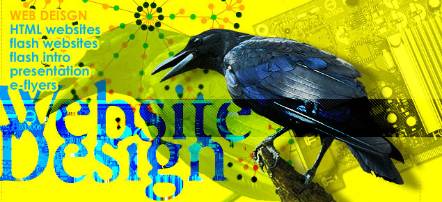 miami beach web design